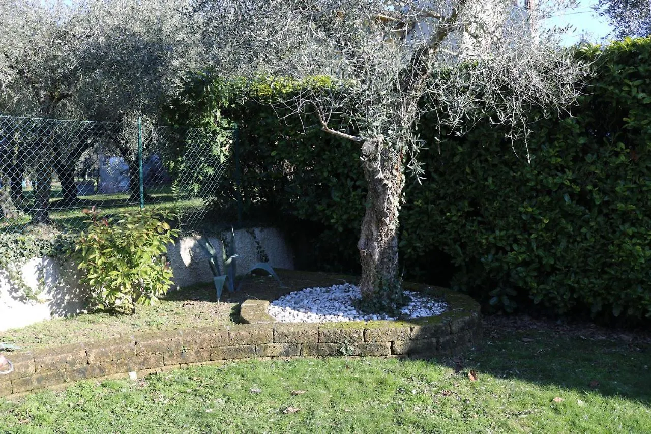 Apartment In Lazise - Gardasee 41950